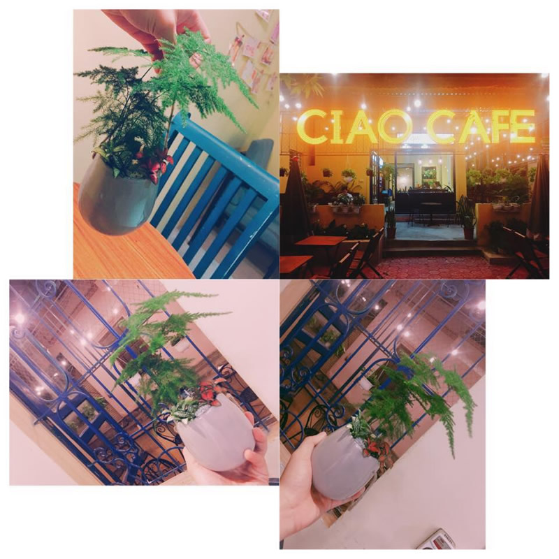 Upload
