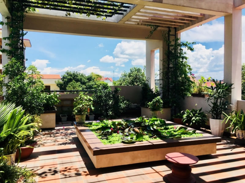 Vườn rau sạch Aquaponics tại TP Vinh